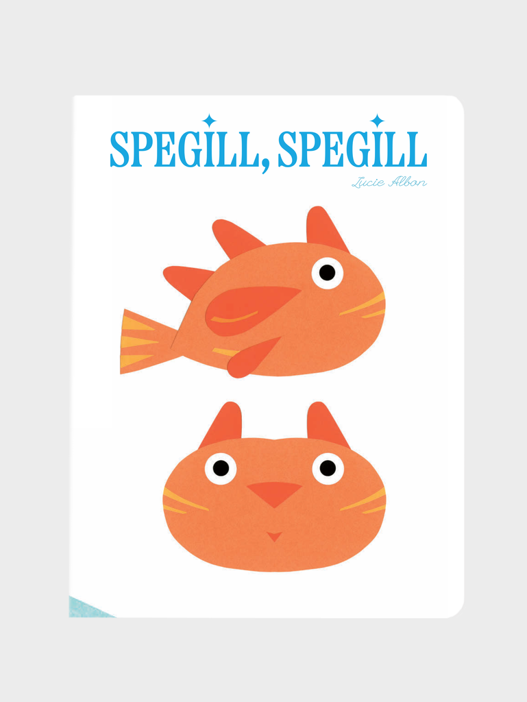 Spegill, spegill